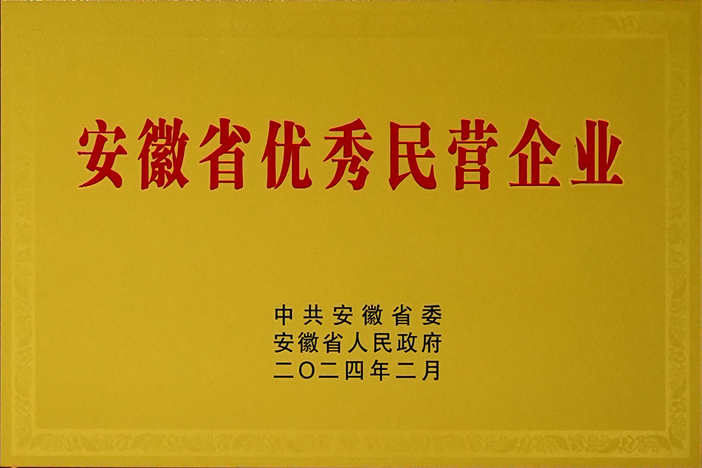 豪家股份榮獲“安徽省百名優(yōu)秀民營(yíng)企業(yè)”稱(chēng)號(hào)